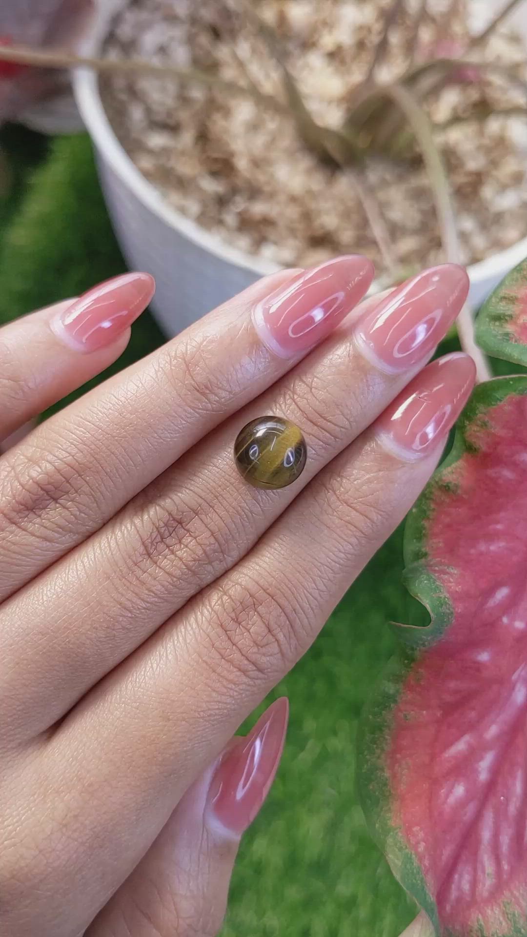 4.34 Ct. Cabochon Tiger's Eye from Ceylon (Sri Lanka) Size Video