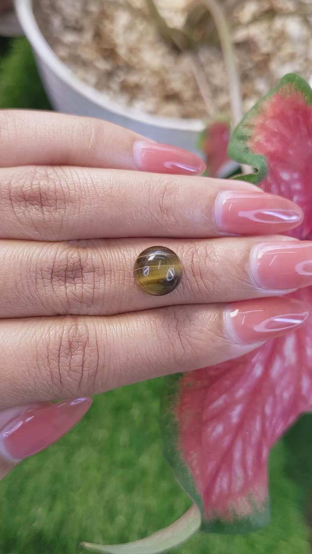 4.34 Ct. Cabochon Tiger's Eye from Ceylon (Sri Lanka) Size Video