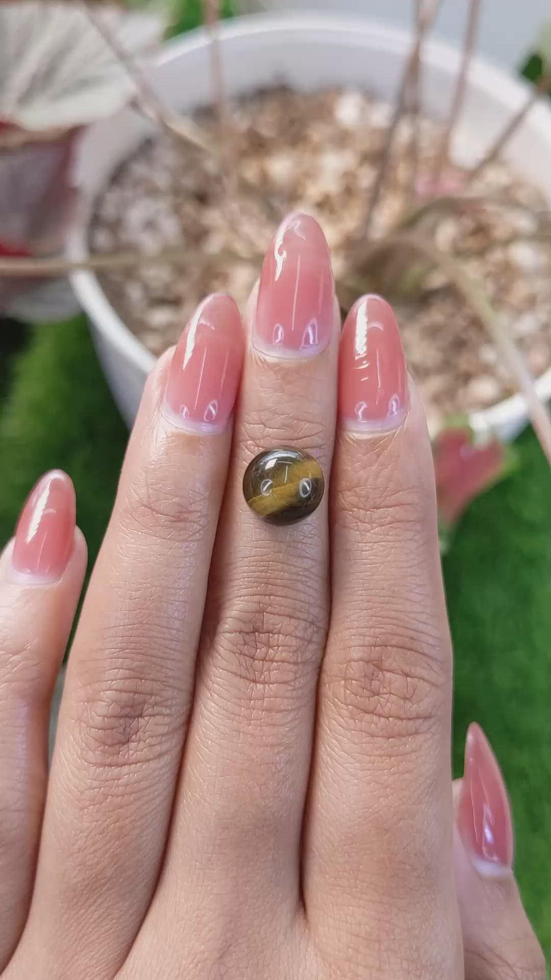 4.34 Ct. Cabochon Tiger's Eye from Ceylon (Sri Lanka) Size Video
