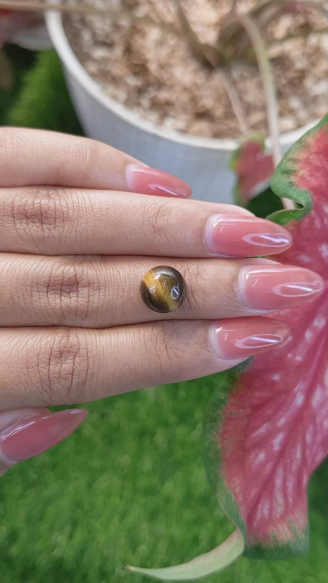 4.34 Ct. Cabochon Tiger's Eye from Ceylon (Sri Lanka) Size Video