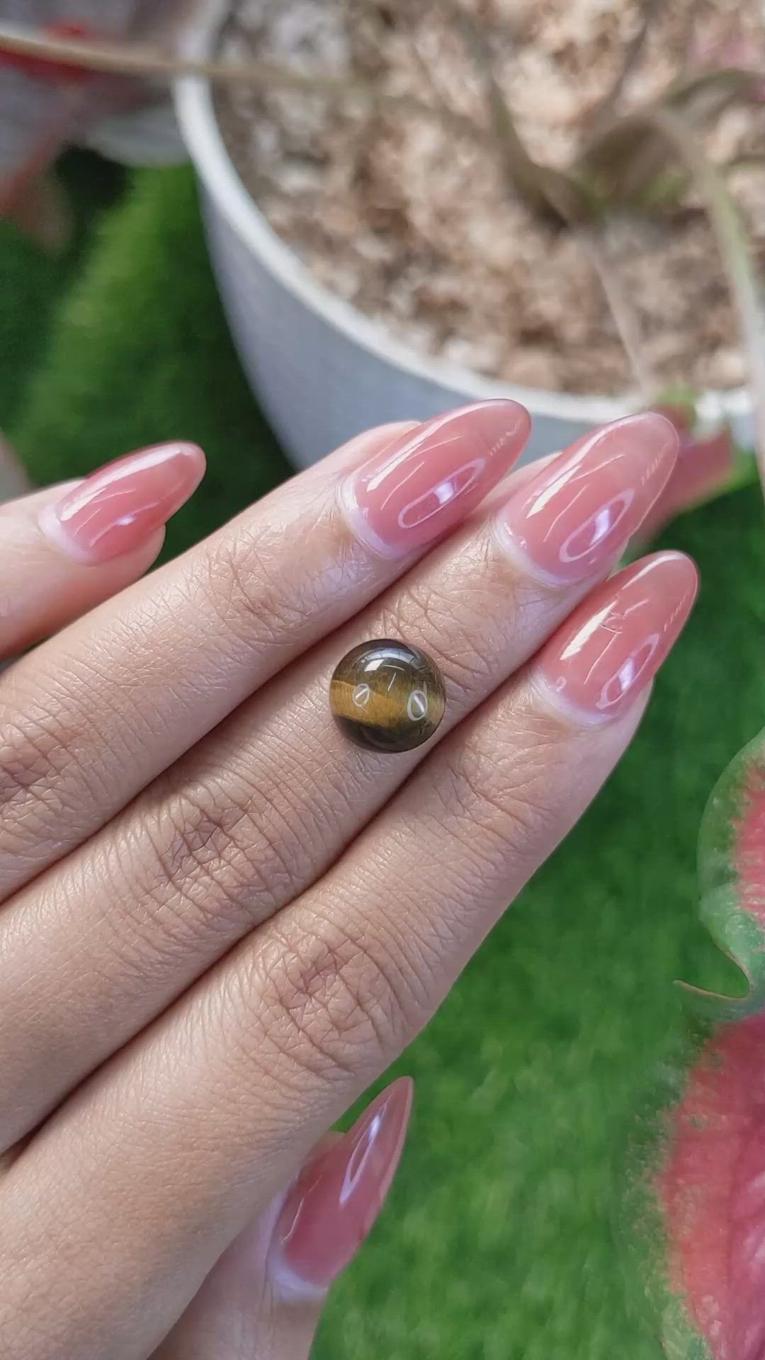 4.34 Ct. Cabochon Tiger's Eye from Ceylon (Sri Lanka) Size Video