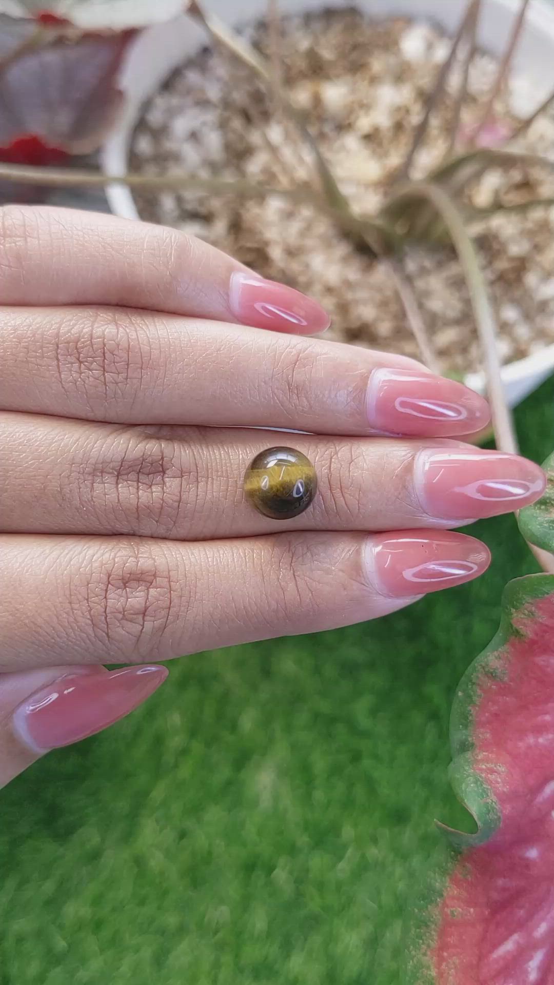 4.28 Ct. Cabochon Tiger's Eye from Ceylon (Sri Lanka) Size Video