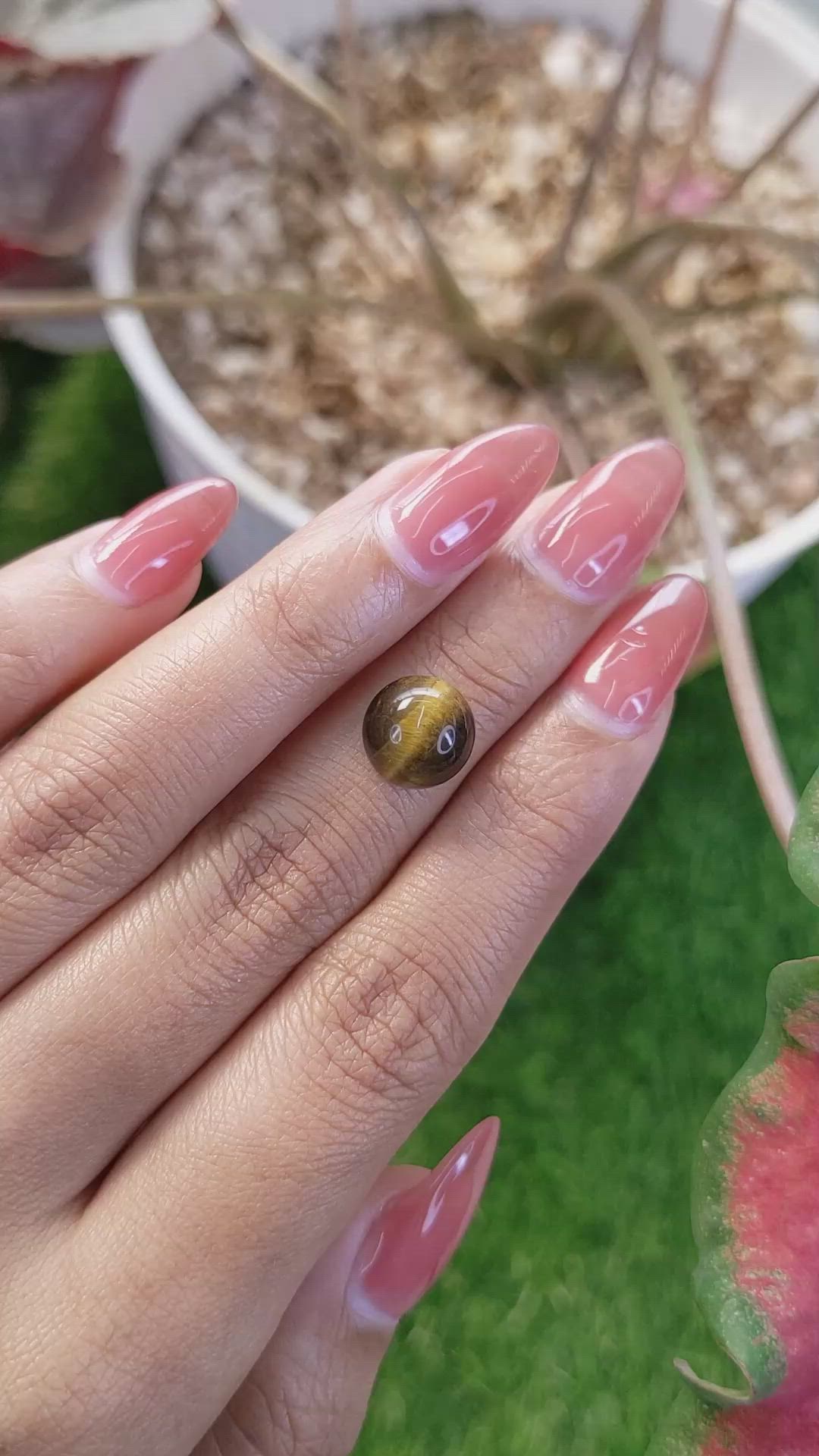 4.28 Ct. Cabochon Tiger's Eye from Ceylon (Sri Lanka) Size Video