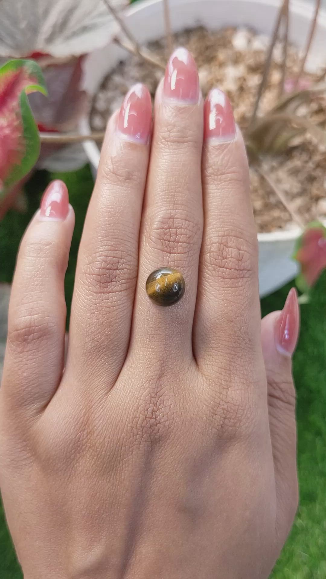 4.28 Ct. Cabochon Tiger's Eye from Ceylon (Sri Lanka) Size Video