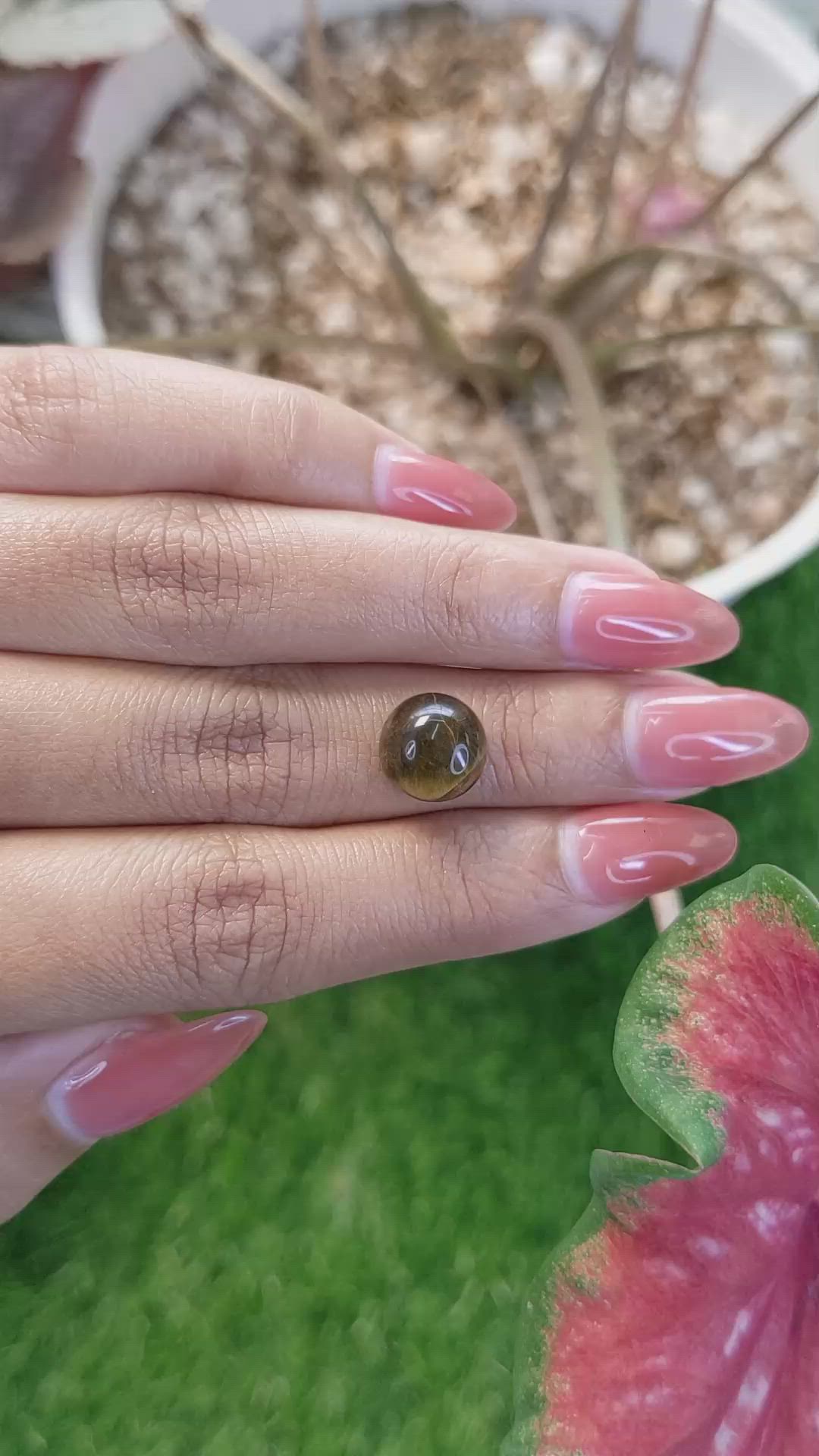 4.54 Ct. Cabochon Tiger's Eye from Ceylon (Sri Lanka) Size Video