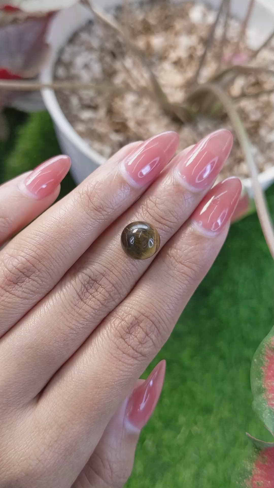 4.54 Ct. Cabochon Tiger's Eye from Ceylon (Sri Lanka) Size Video