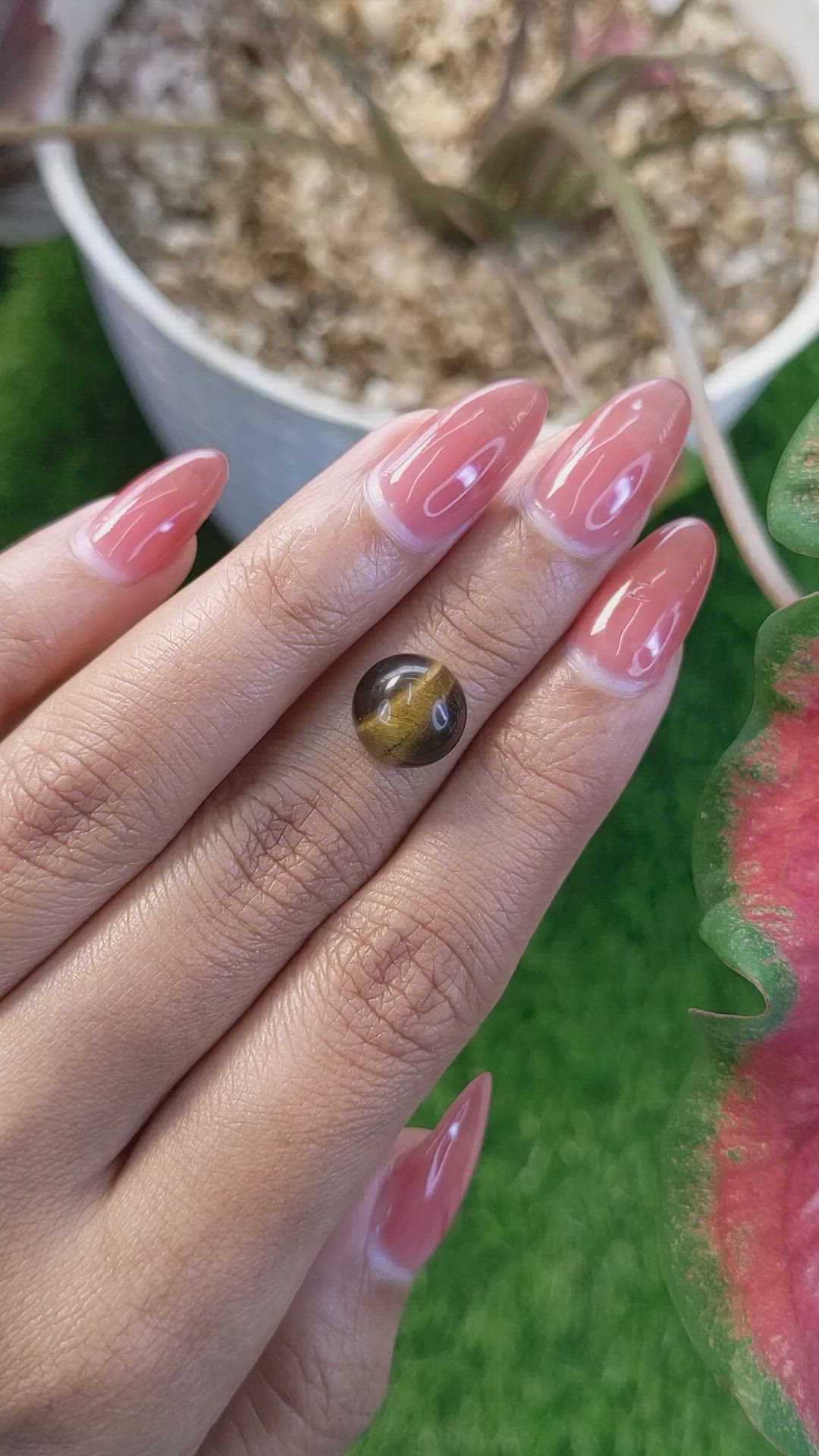 4.95 Ct. Cabochon Tiger's Eye from Ceylon (Sri Lanka) Size Video