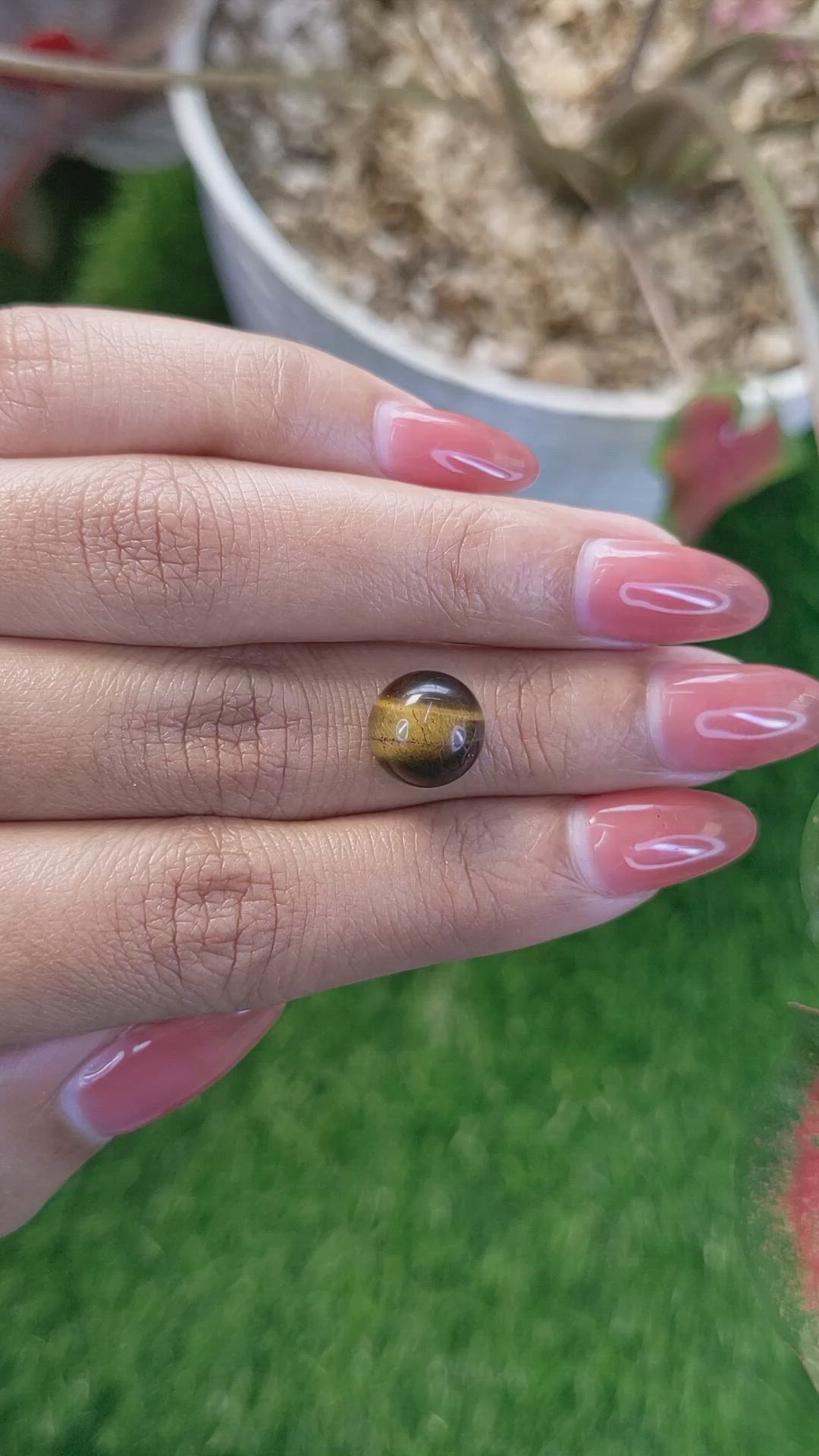 4.95 Ct. Cabochon Tiger's Eye from Ceylon (Sri Lanka) Size Video