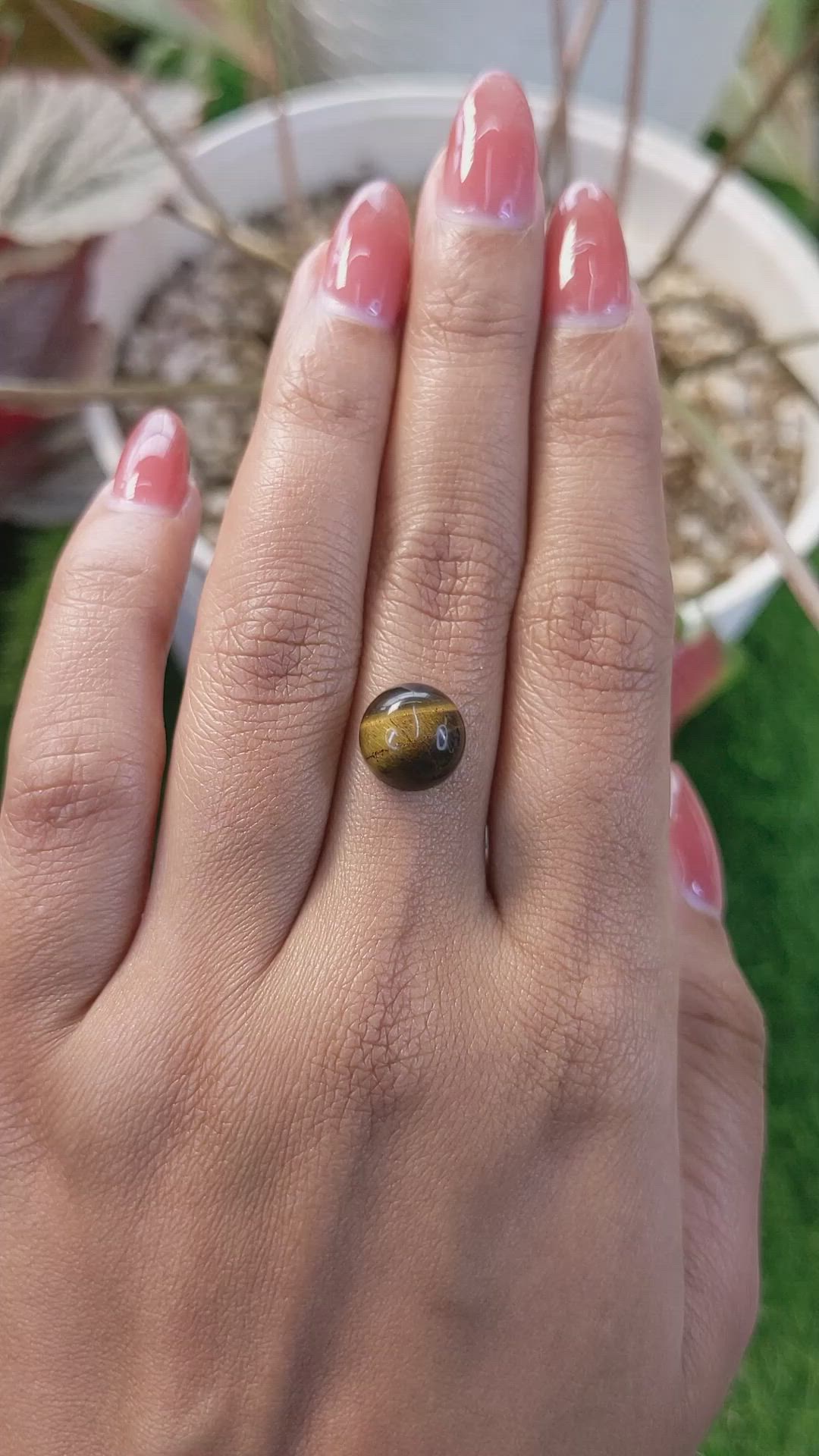 4.95 Ct. Cabochon Tiger's Eye from Ceylon (Sri Lanka) Size Video