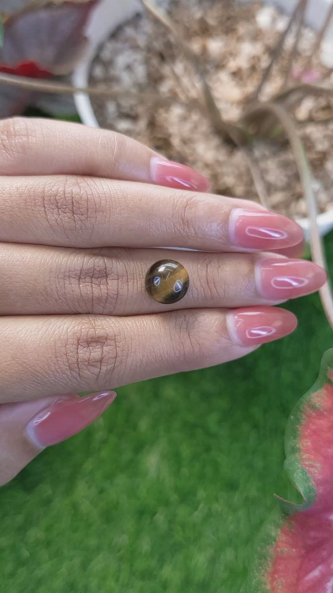 4.30 Ct. Cabochon Tiger's Eye from Ceylon (Sri Lanka) Size Video