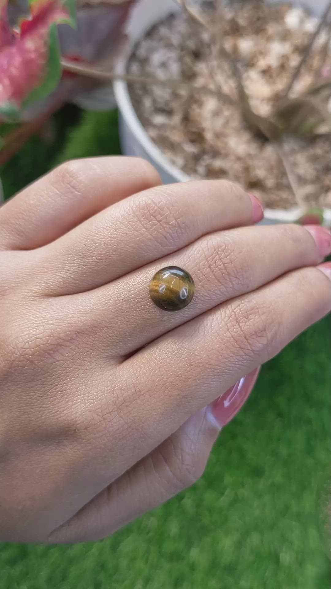 4.30 Ct. Cabochon Tiger's Eye from Ceylon (Sri Lanka) Size Video