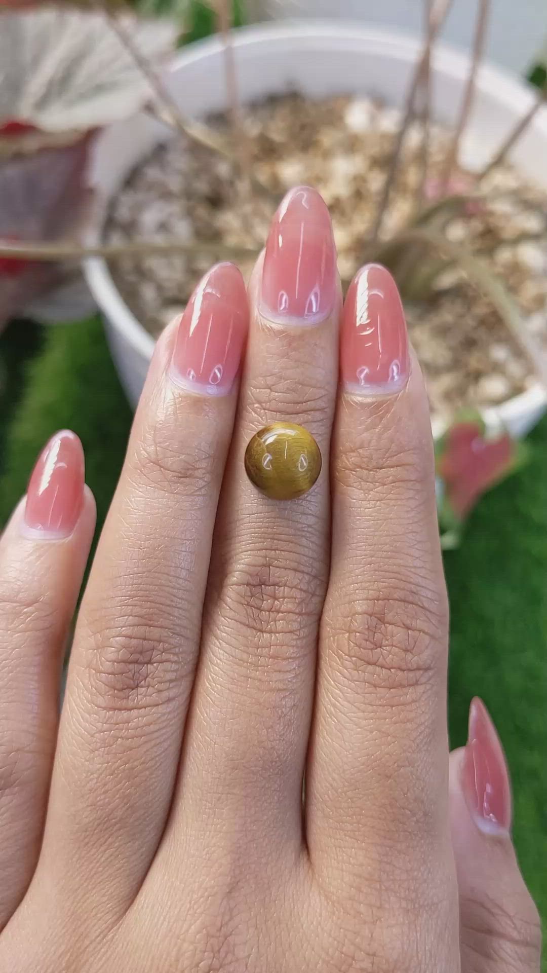 4.39 Ct. Cabochon Tiger's Eye from Ceylon (Sri Lanka) Size Video