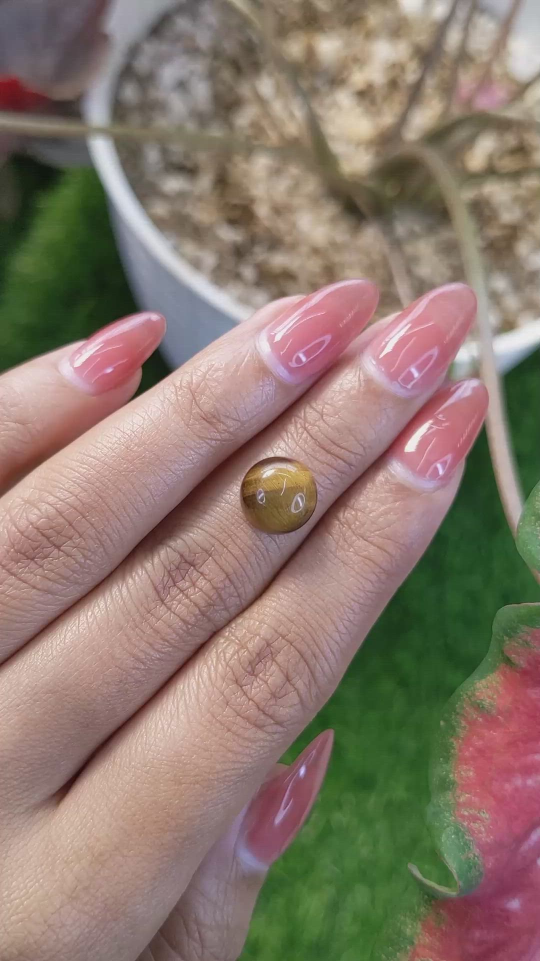 4.53 Ct. Cabochon Tiger's Eye from Ceylon (Sri Lanka) Size Video