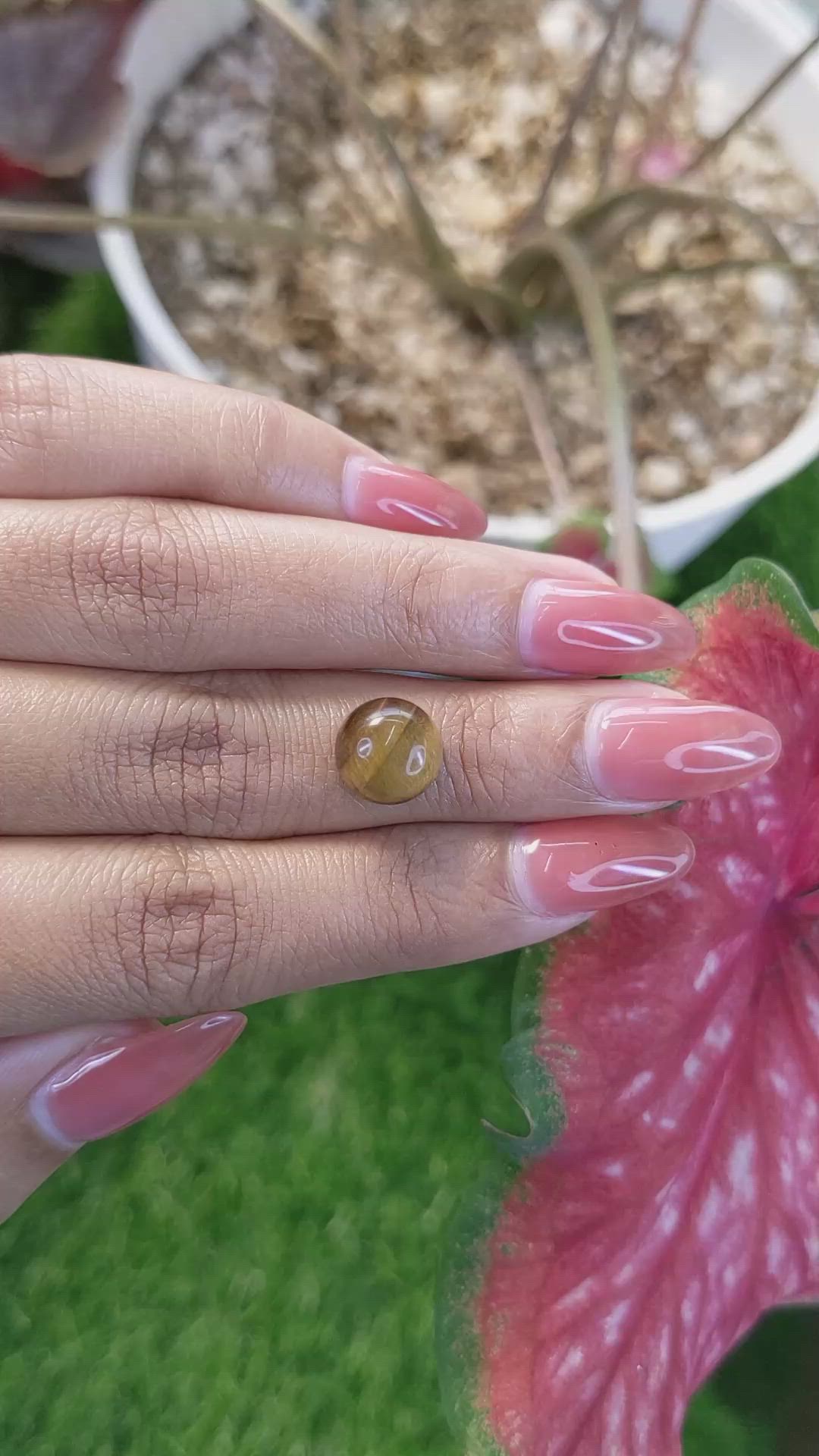 4.36 Ct. Cabochon Tiger's Eye from Ceylon (Sri Lanka) Size Video