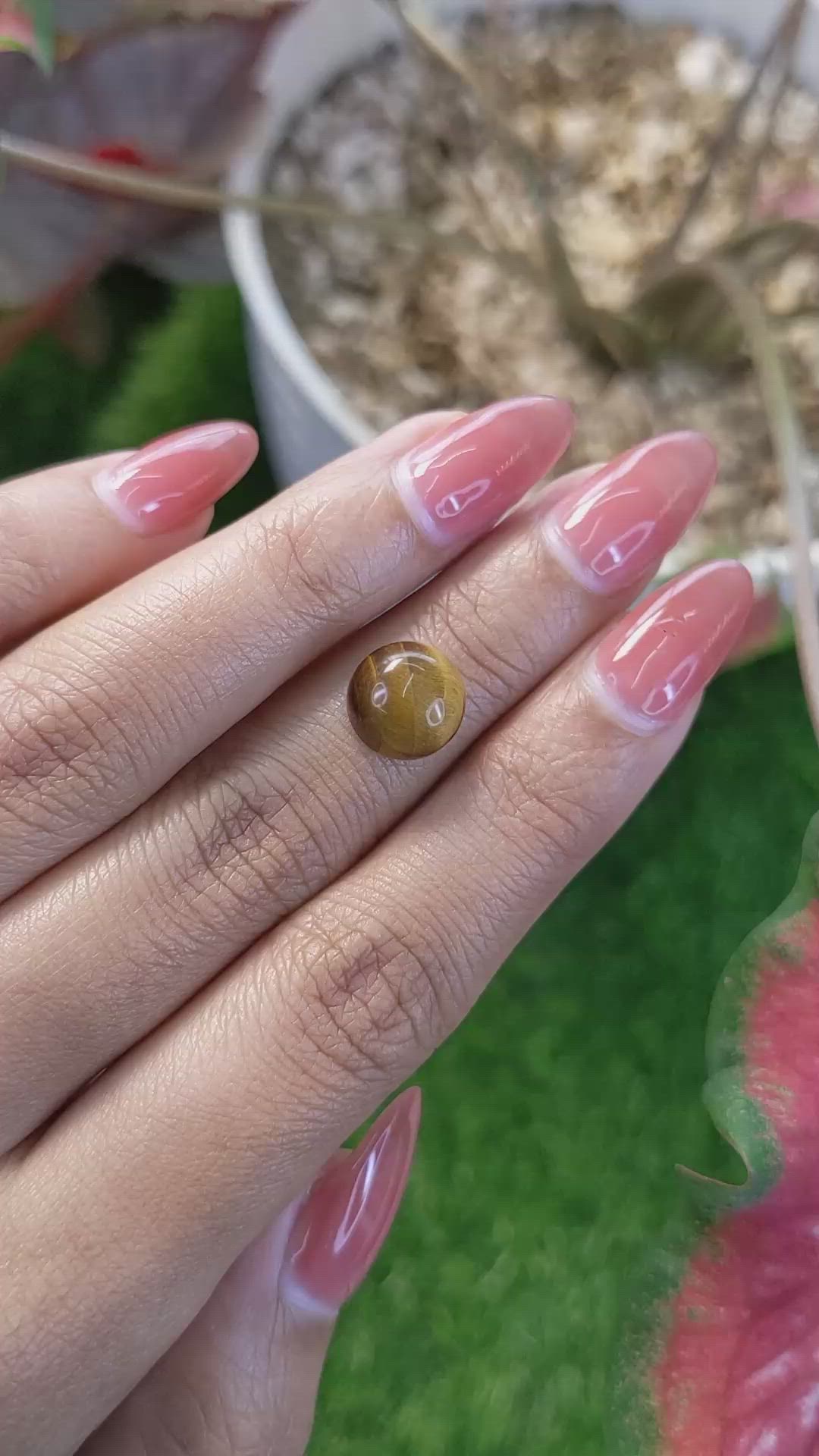 4.36 Ct. Cabochon Tiger's Eye from Ceylon (Sri Lanka) Size Video