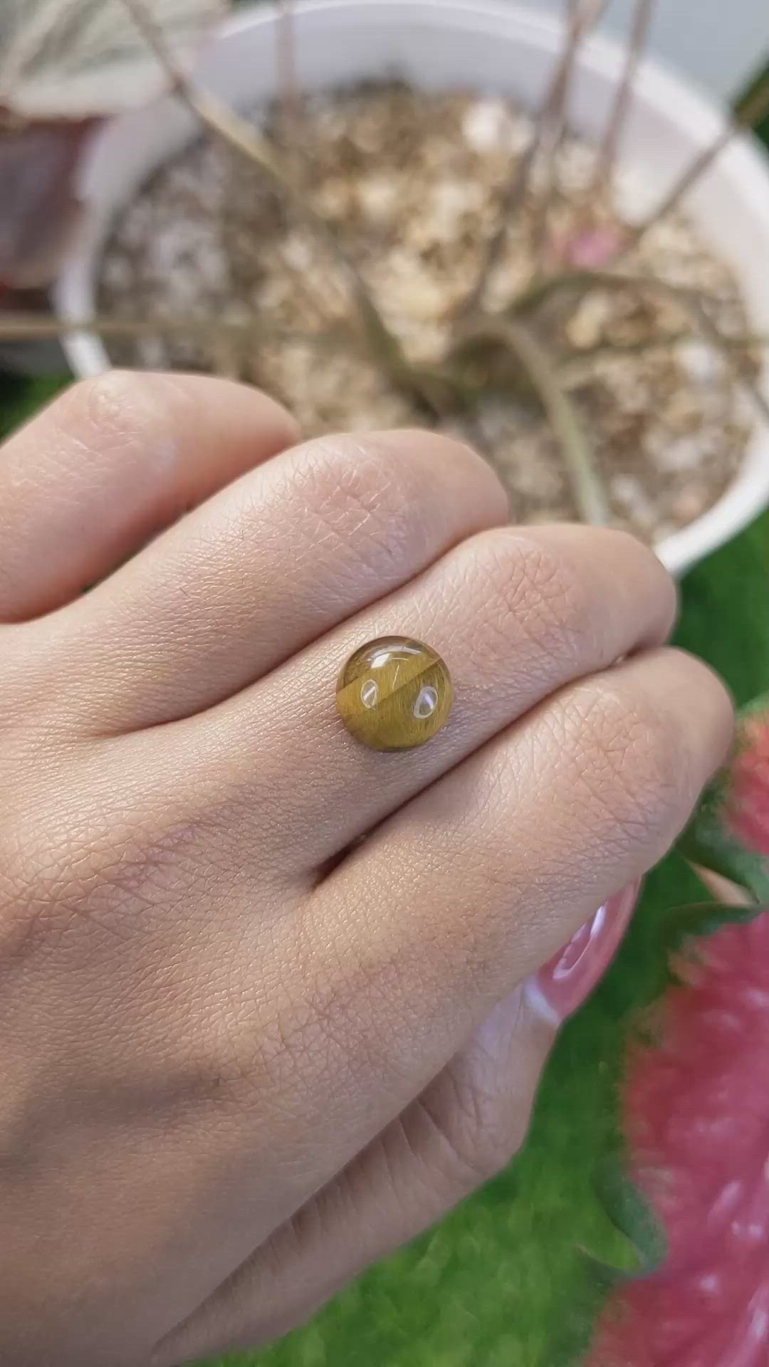 4.36 Ct. Cabochon Tiger's Eye from Ceylon (Sri Lanka) Size Video