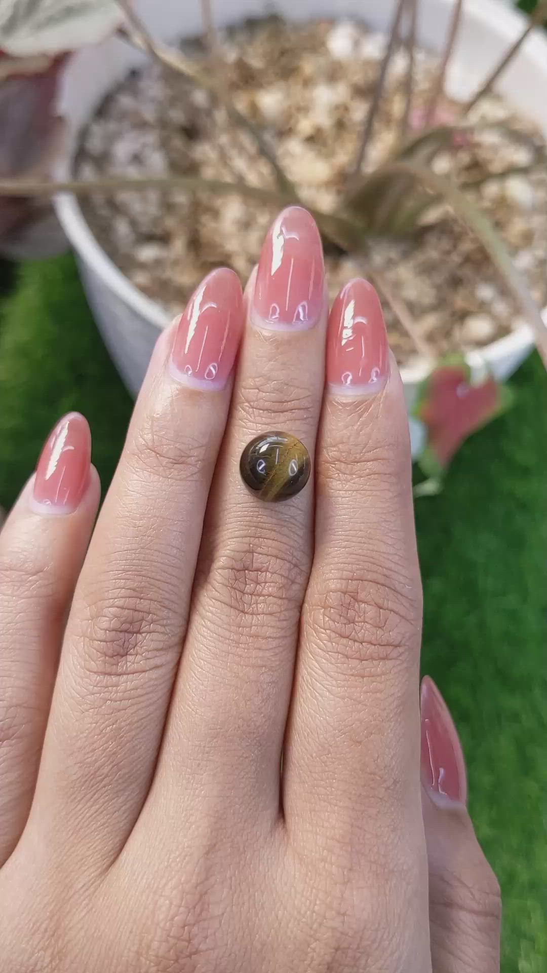 4.64 Ct. Cabochon Tiger's Eye from Ceylon (Sri Lanka) Size Video