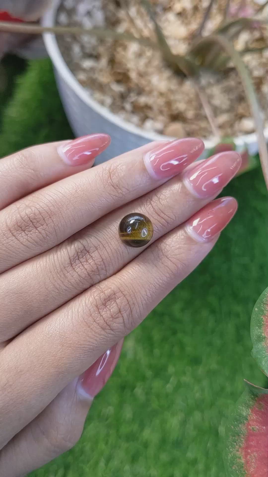 4.64 Ct. Cabochon Tiger's Eye from Ceylon (Sri Lanka) Size Video