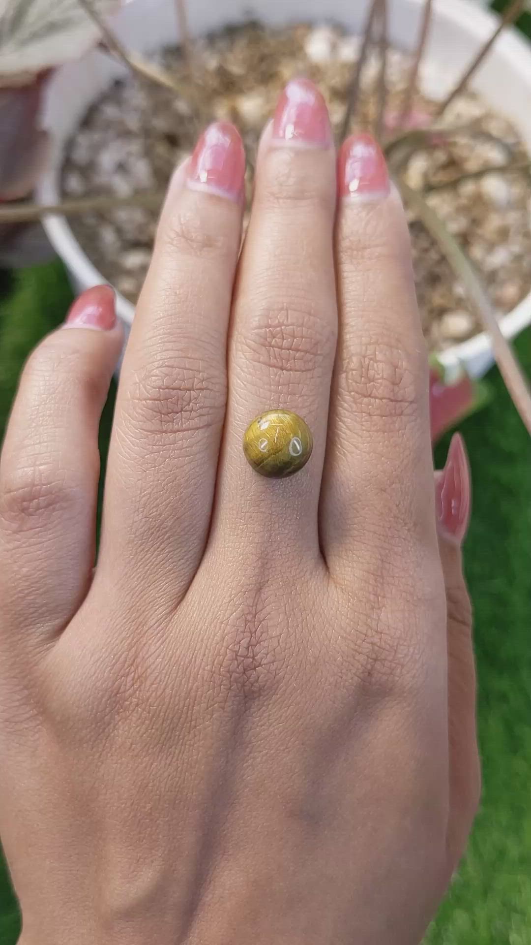 4.27 Ct. Cabochon Tiger's Eye from Ceylon (Sri Lanka) Size Video