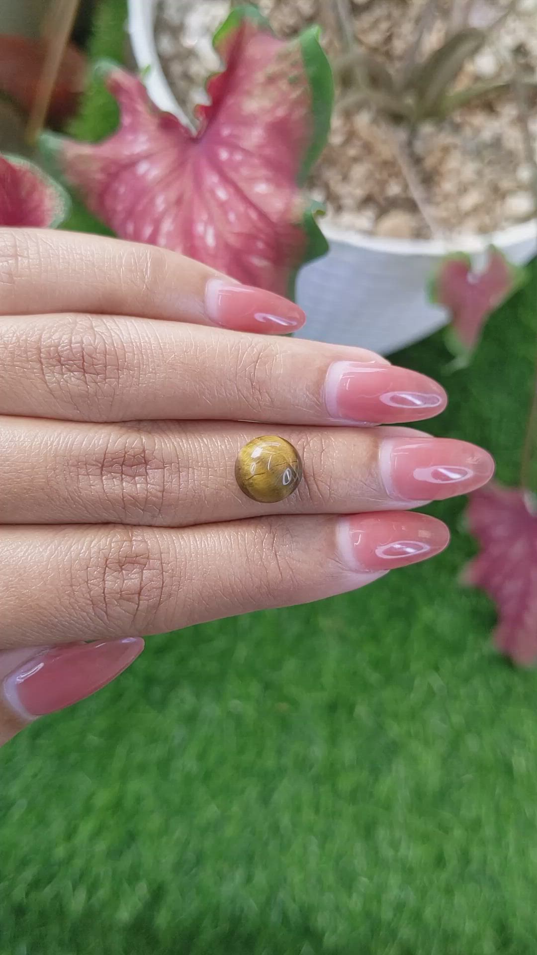 4.30 Ct. Cabochon Tiger's Eye from Ceylon (Sri Lanka) Size Video