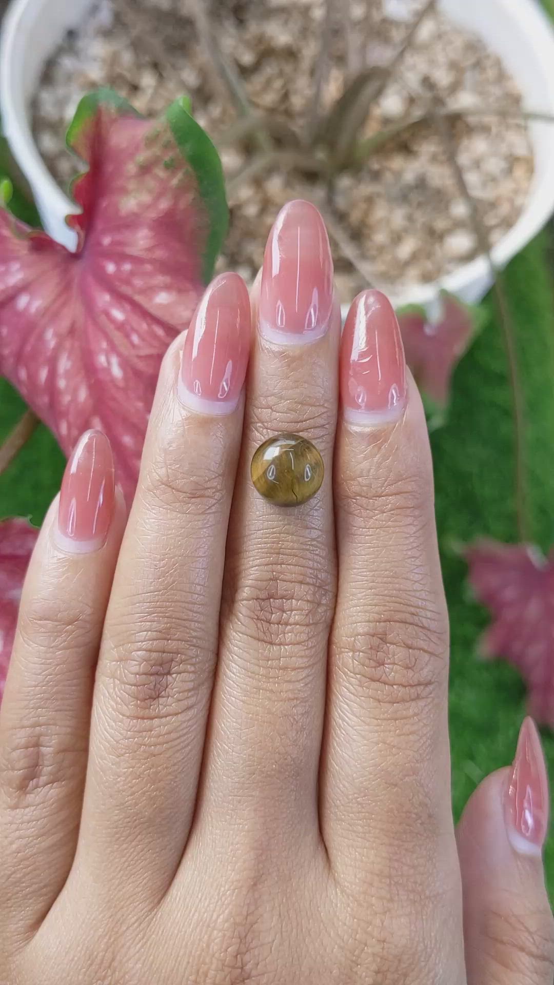 4.30 Ct. Cabochon Tiger's Eye from Ceylon (Sri Lanka) Size Video