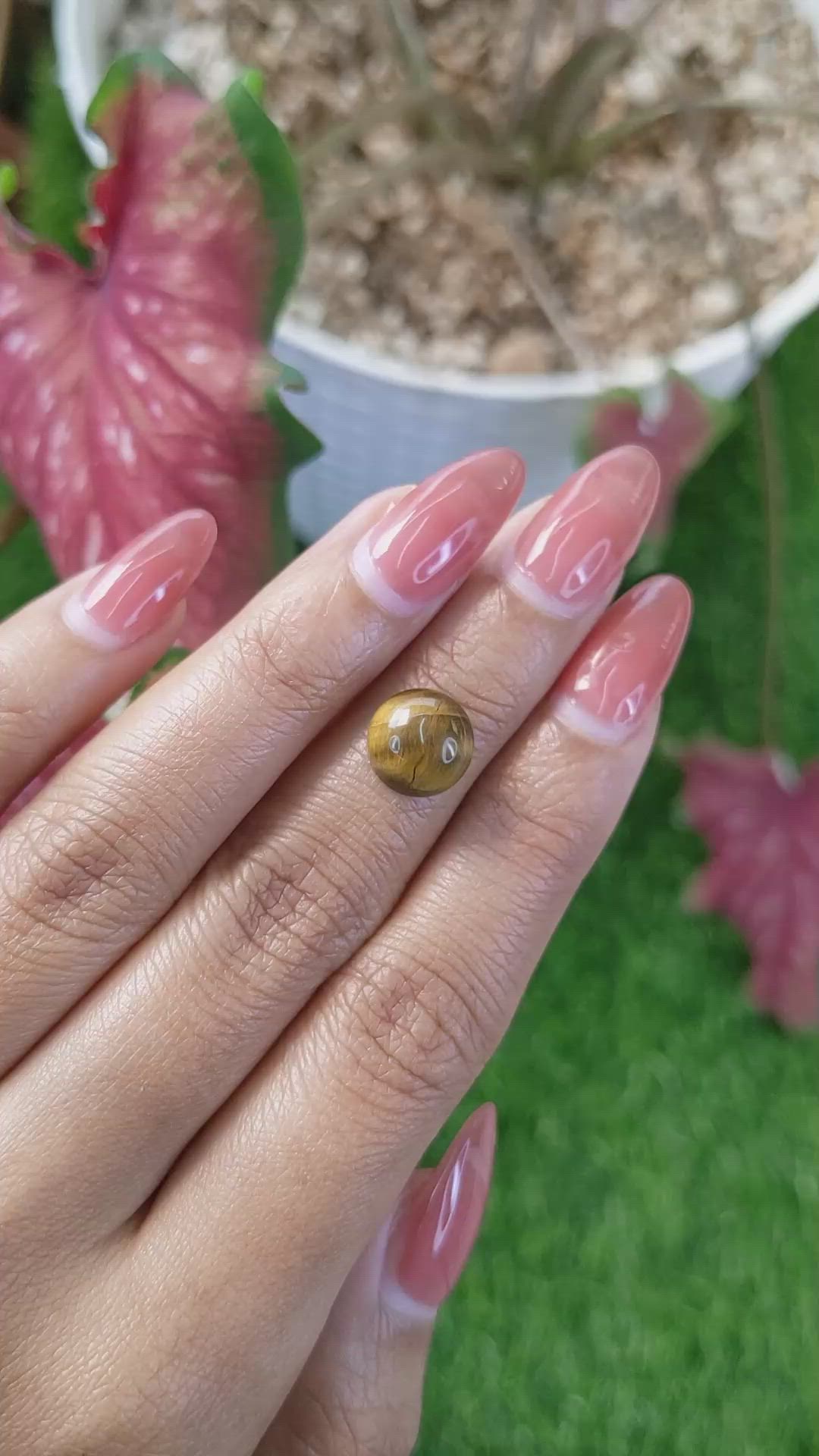 4.30 Ct. Cabochon Tiger's Eye from Ceylon (Sri Lanka) Size Video