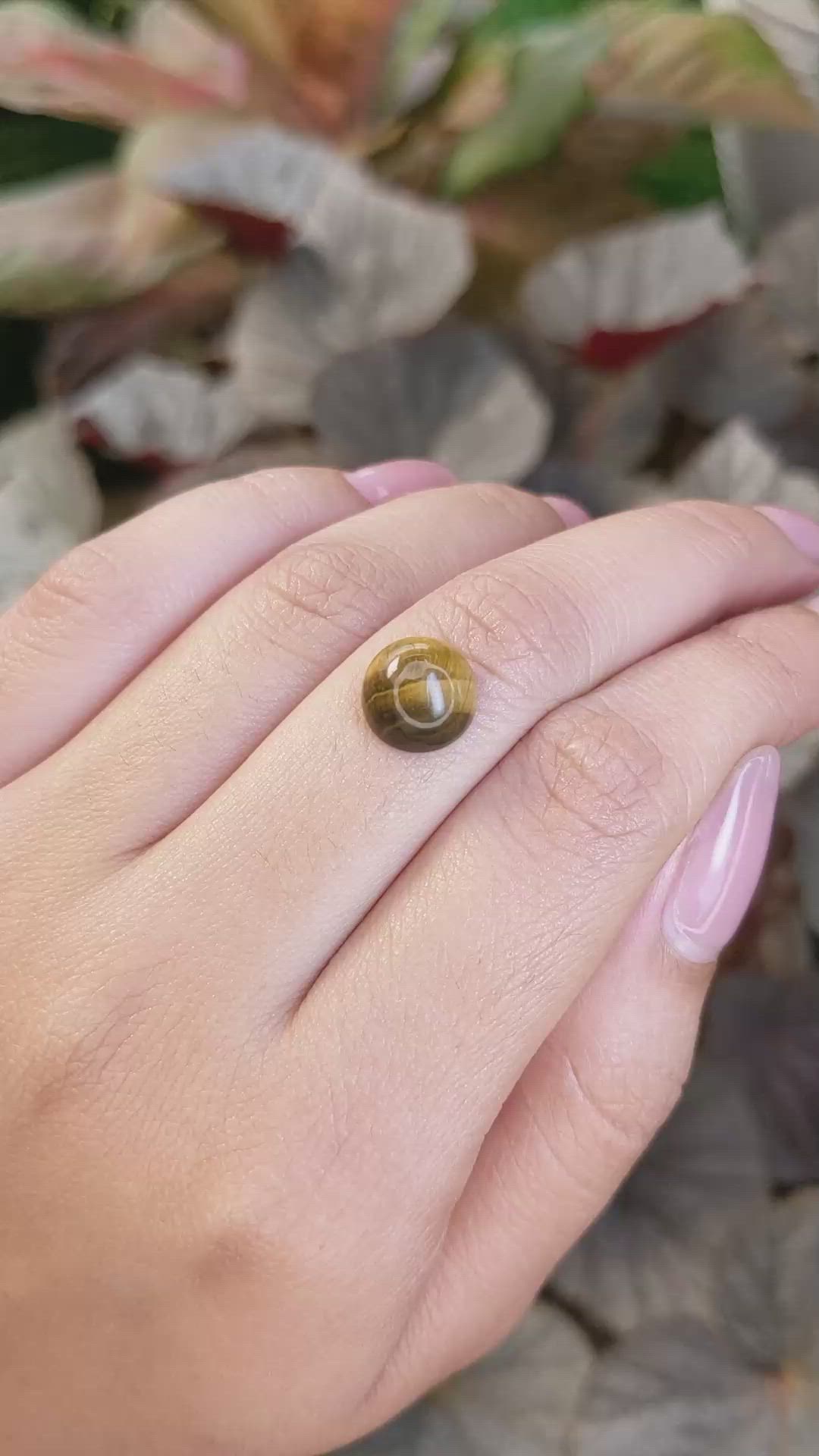 4.32 Ct. Cabochon Tiger's Eye from Ceylon (Sri Lanka) Size Video
