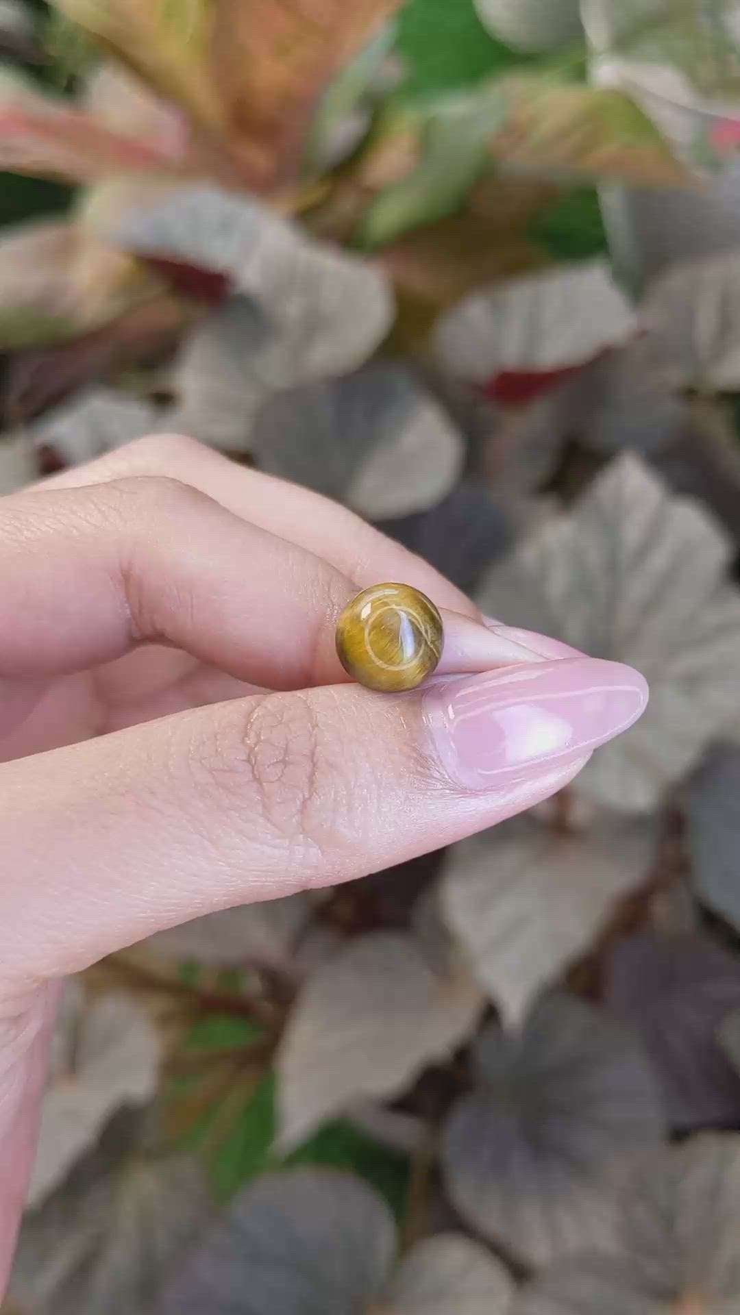 4.32 Ct. Cabochon Tiger's Eye from Ceylon (Sri Lanka) Size Video
