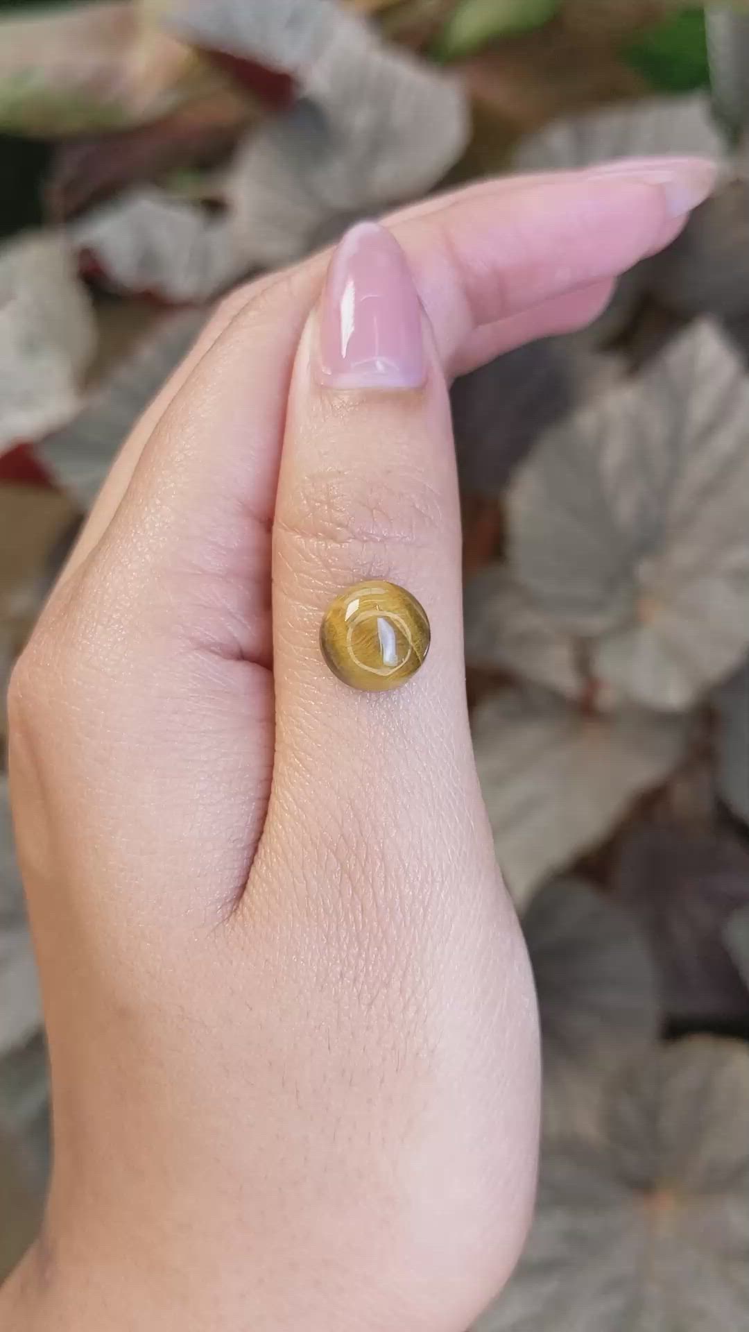 4.06 Ct. Cabochon Tiger's Eye from Ceylon (Sri Lanka) Size Video