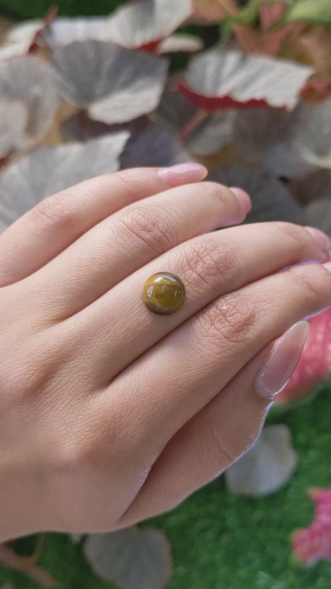 4.06 Ct. Cabochon Tiger's Eye from Ceylon (Sri Lanka) Size Video