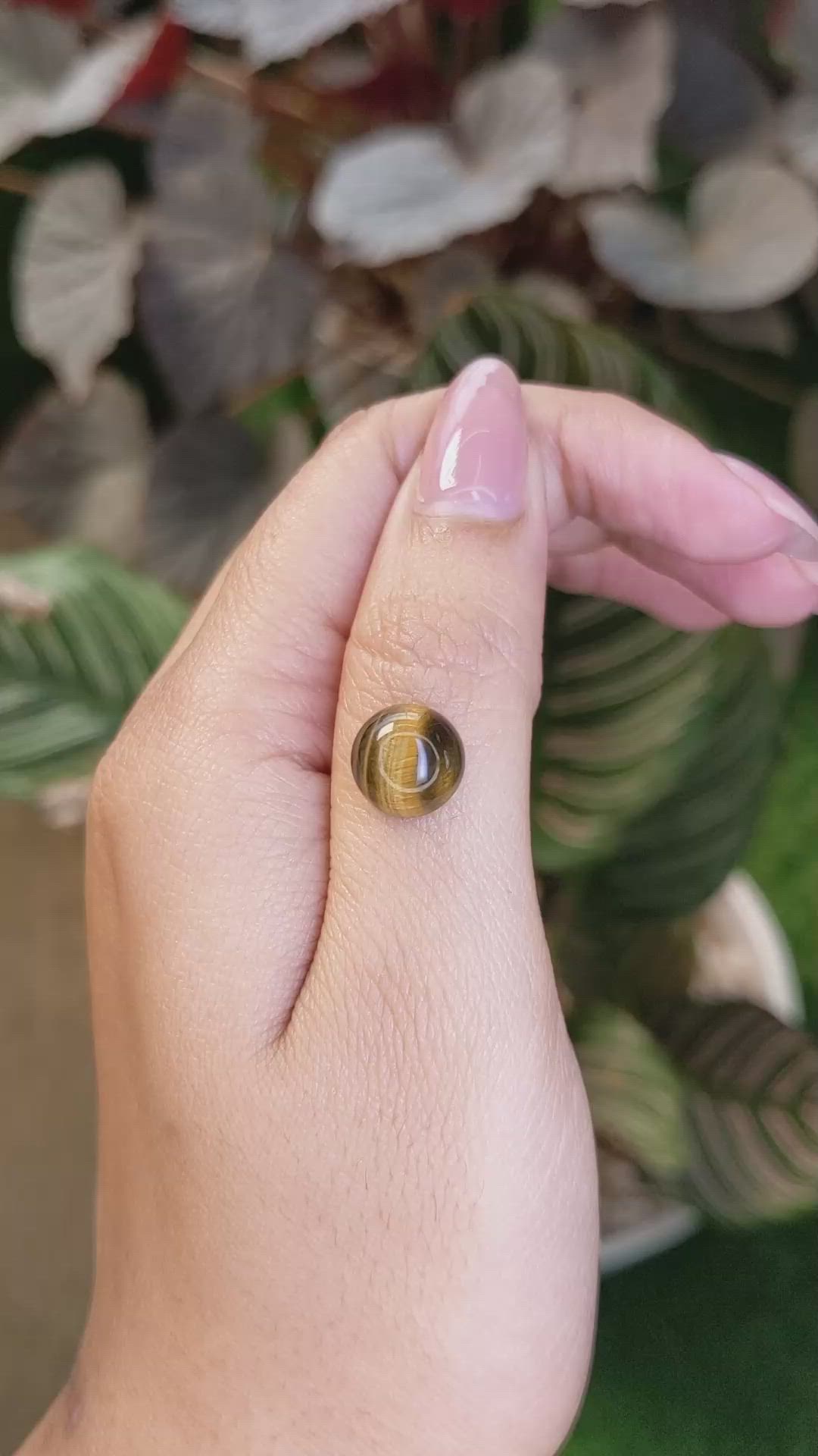 4.33 Ct. Cabochon Tiger's Eye from Ceylon (Sri Lanka) Size Video