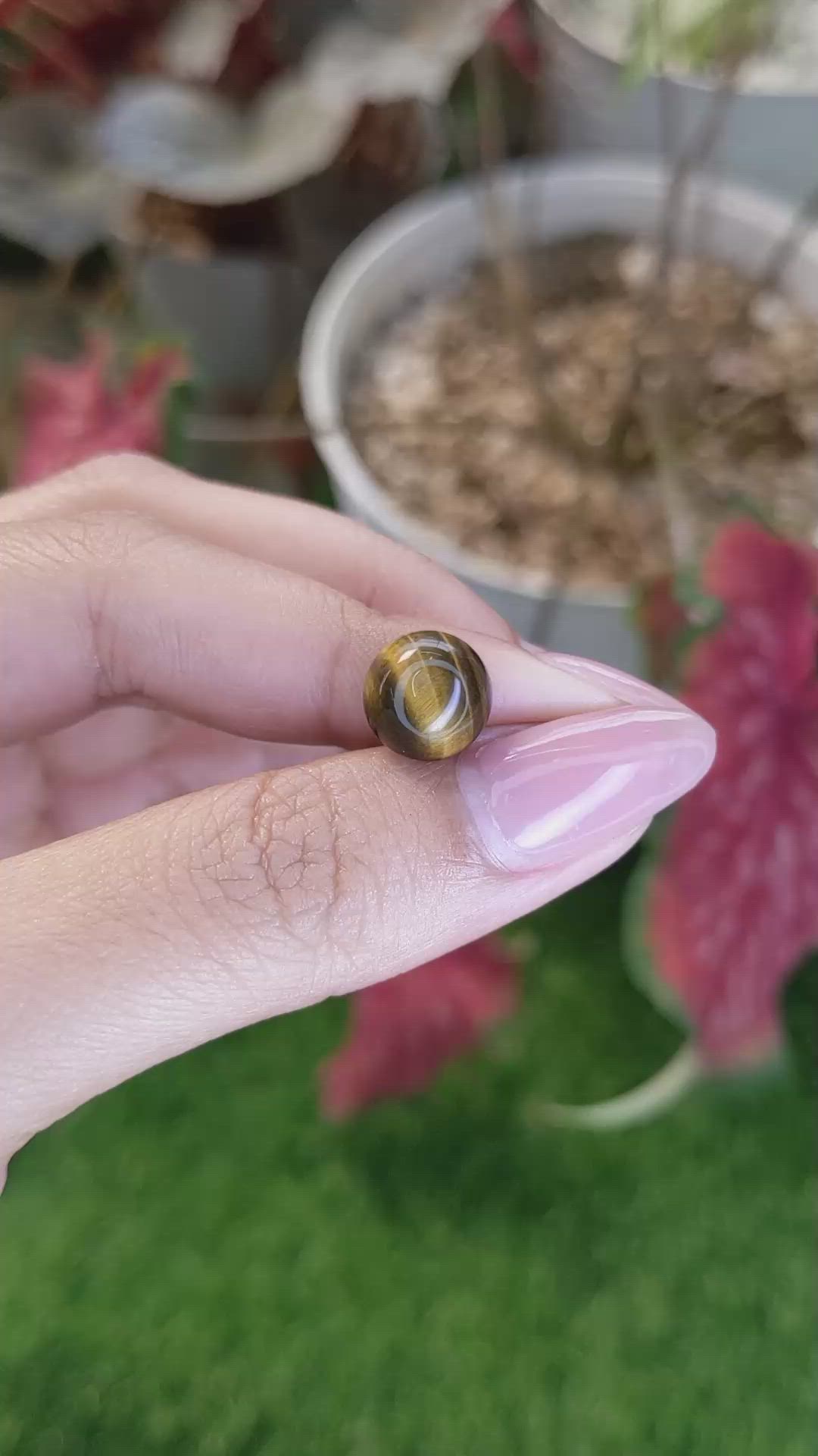 4.33 Ct. Cabochon Tiger's Eye from Ceylon (Sri Lanka) Size Video