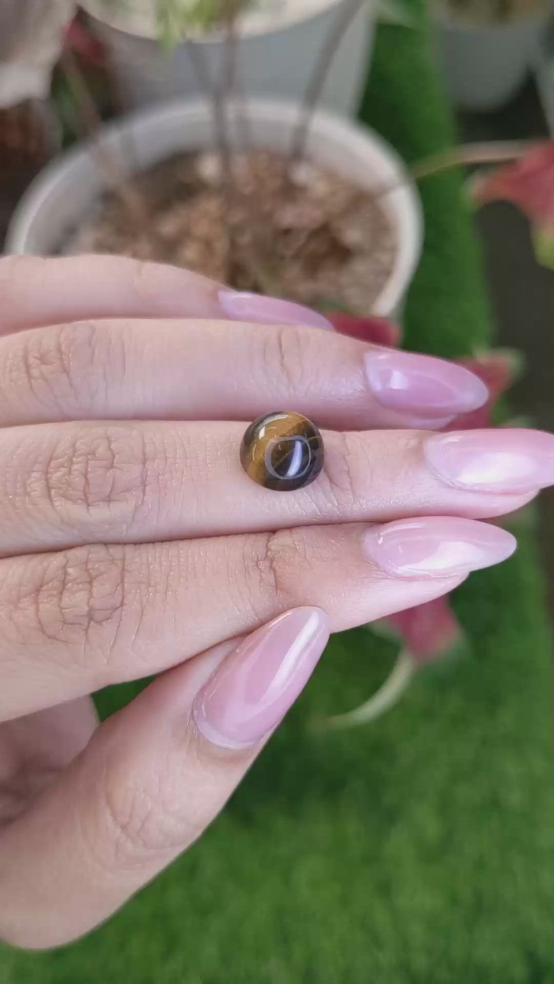 4.33 Ct. Cabochon Tiger's Eye from Ceylon (Sri Lanka) Size Video