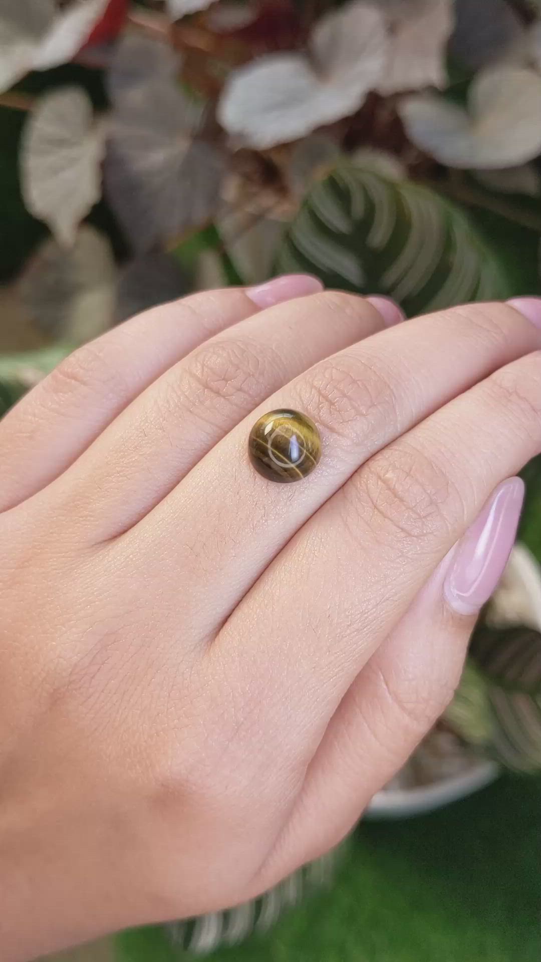4.33 Ct. Cabochon Tiger's Eye from Ceylon (Sri Lanka) Size Video