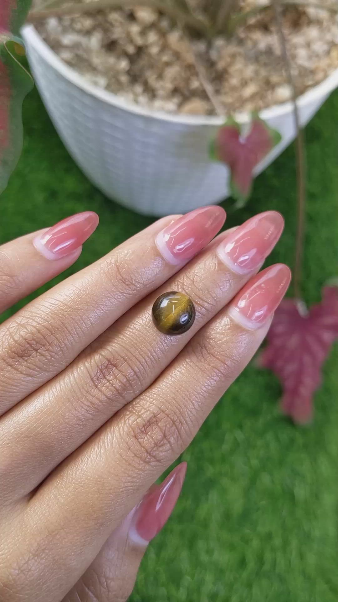 4.20 Ct. Cabochon Tiger's Eye from Ceylon (Sri Lanka) Size Video