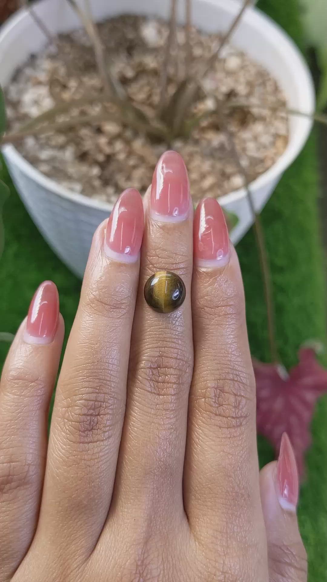 4.20 Ct. Cabochon Tiger's Eye from Ceylon (Sri Lanka) Size Video