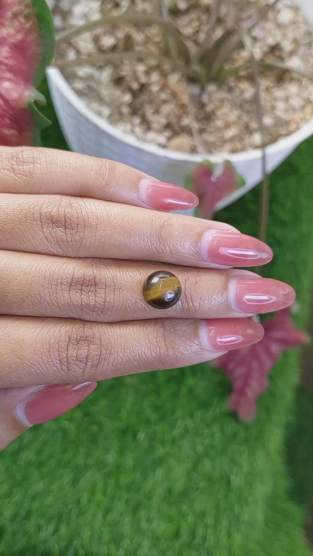 4.20 Ct. Cabochon Tiger's Eye from Ceylon (Sri Lanka) Size Video