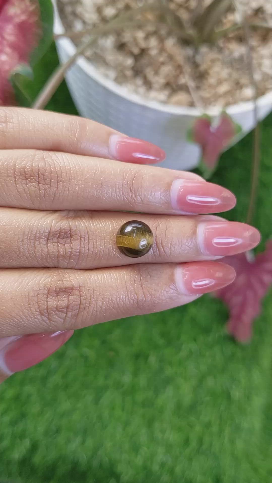 4.44 Ct. Cabochon Tiger's Eye from Ceylon (Sri Lanka) Size Video