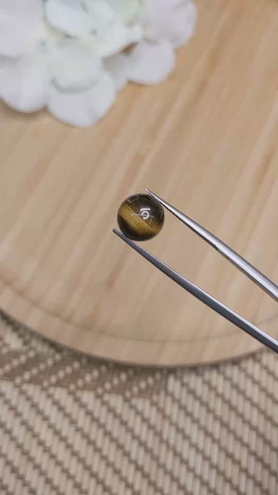 4.44 Ct. Cabochon Tiger's Eye from Ceylon (Sri Lanka) Size Video
