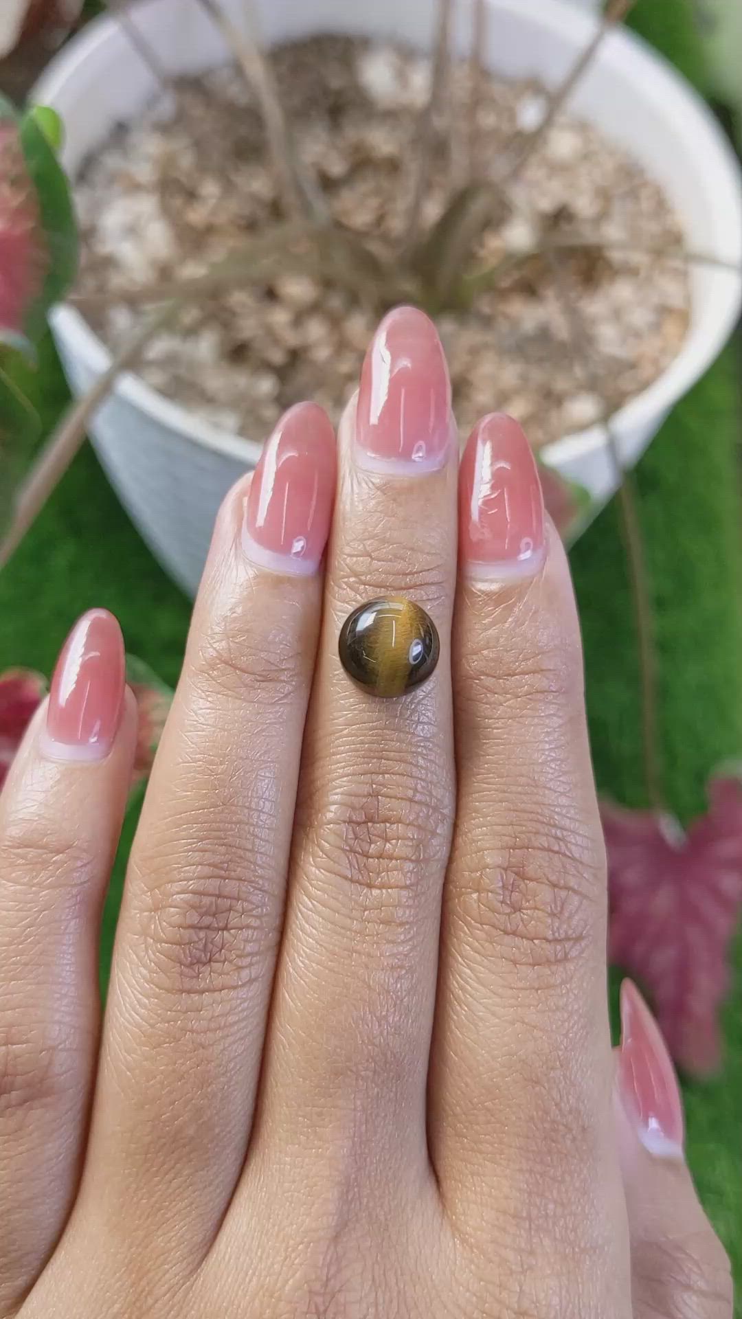 4.44 Ct. Cabochon Tiger's Eye from Ceylon (Sri Lanka) Size Video