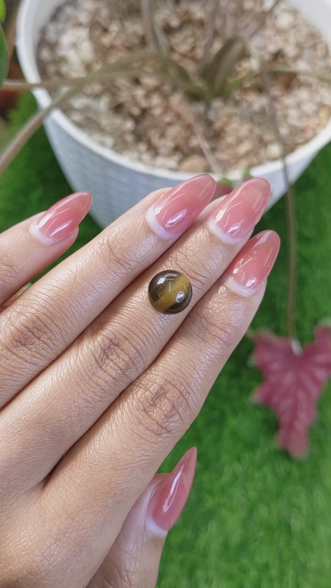 4.44 Ct. Cabochon Tiger's Eye from Ceylon (Sri Lanka) Size Video