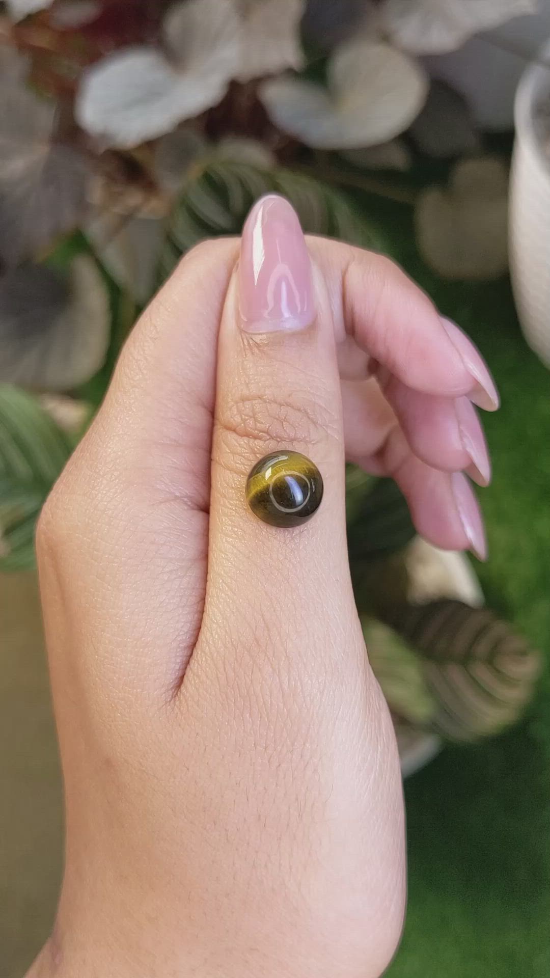 4.43 Ct. Cabochon Tiger's Eye from Ceylon (Sri Lanka) Size Video