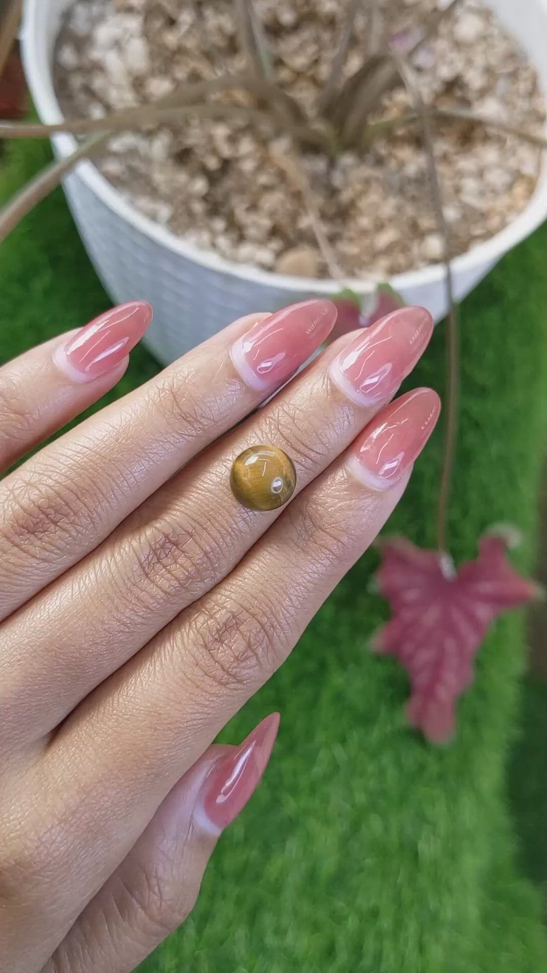 4.37 Ct. Cabochon Tiger's Eye from Ceylon (Sri Lanka) Size Video