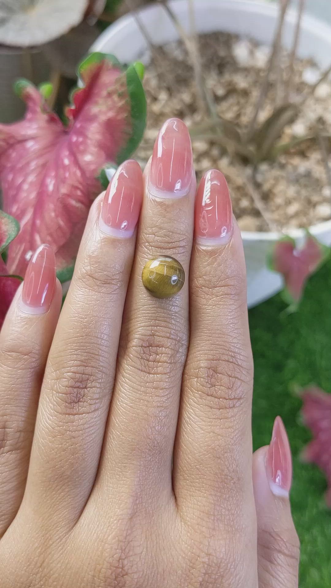 4.37 Ct. Cabochon Tiger's Eye from Ceylon (Sri Lanka) Size Video
