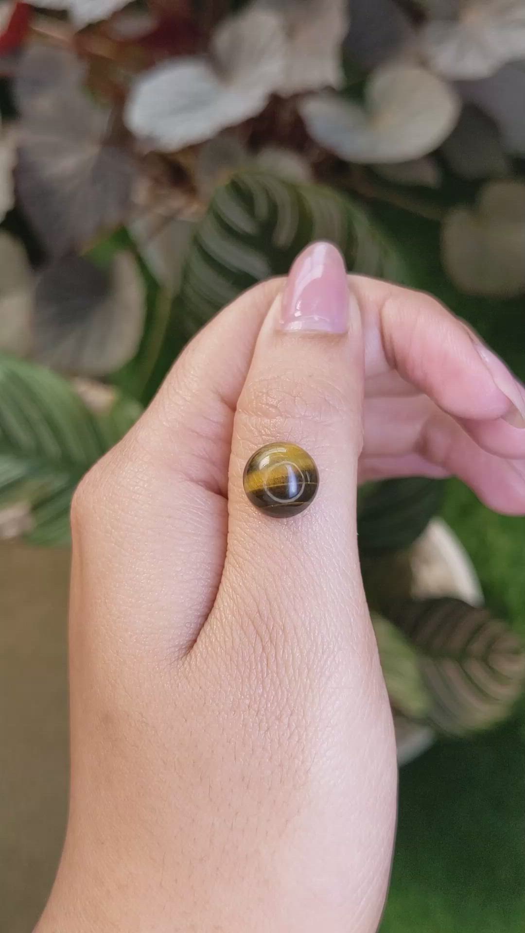 4.48 Ct. Cabochon Tiger's Eye from Ceylon (Sri Lanka) Size Video