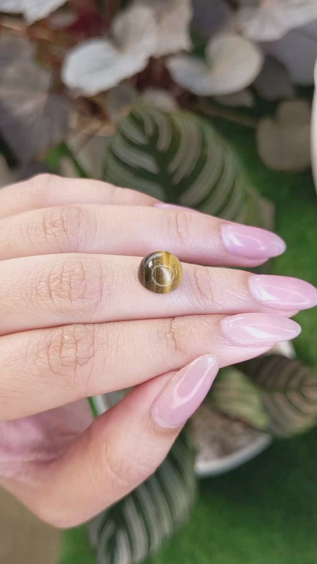 4.48 Ct. Cabochon Tiger's Eye from Ceylon (Sri Lanka) Size Video