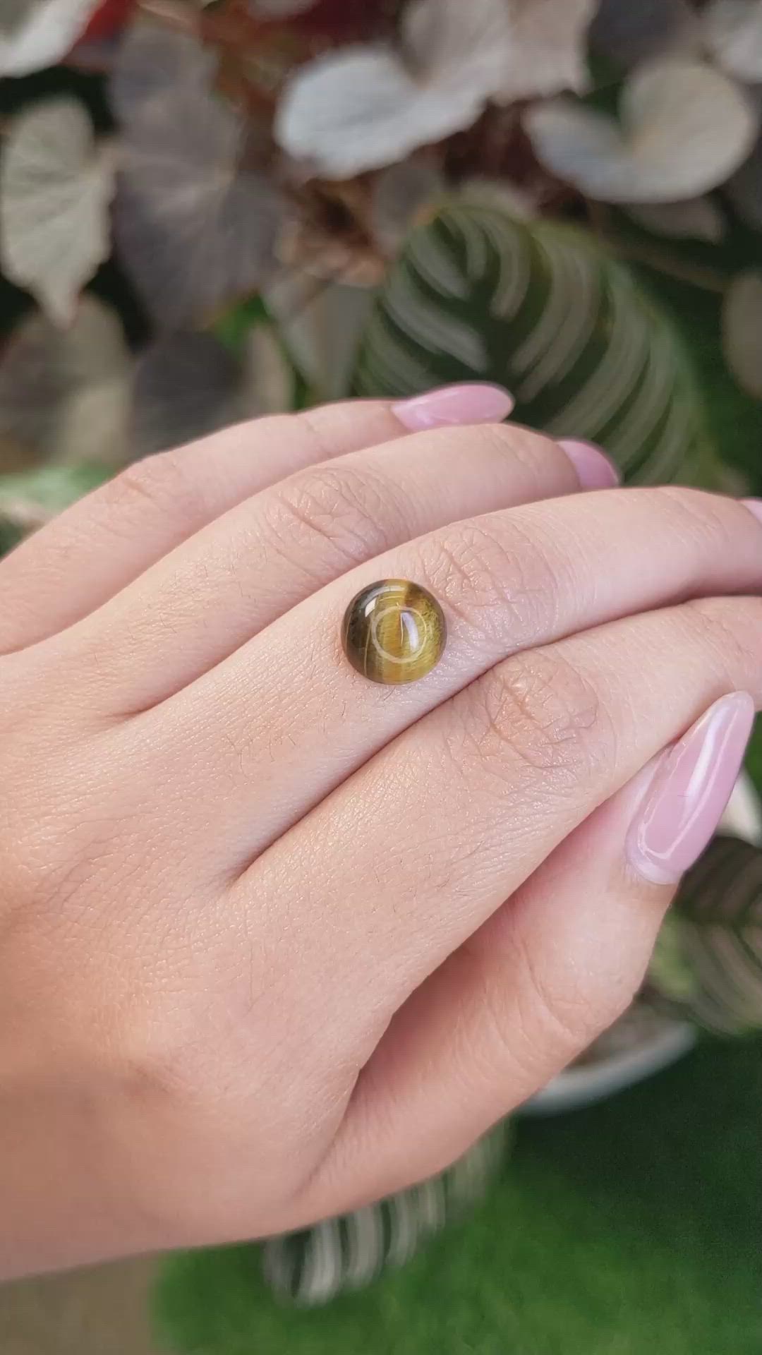 4.48 Ct. Cabochon Tiger's Eye from Ceylon (Sri Lanka) Size Video