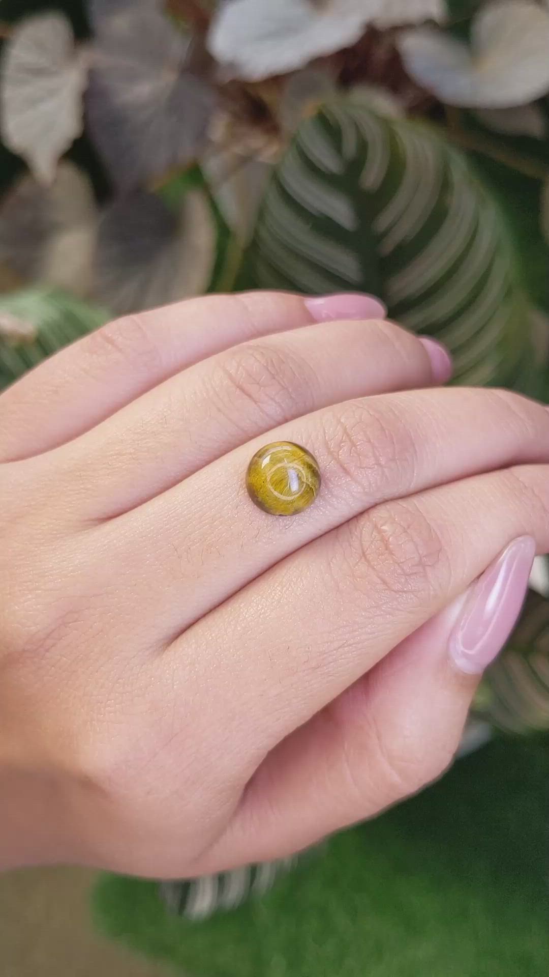 4.26 Ct. Cabochon Tiger's Eye from Ceylon (Sri Lanka) Size Video