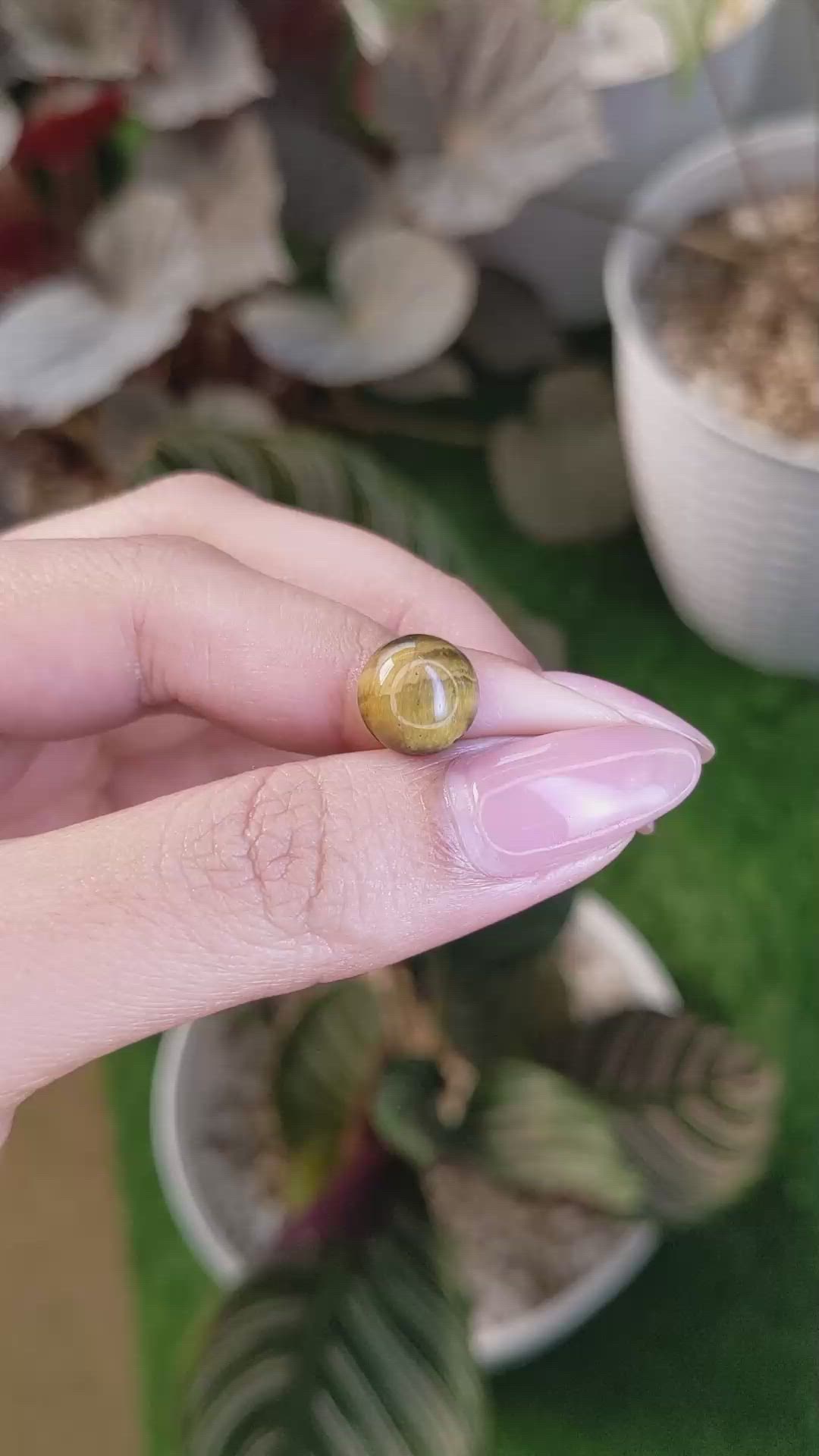 4.26 Ct. Cabochon Tiger's Eye from Ceylon (Sri Lanka) Size Video