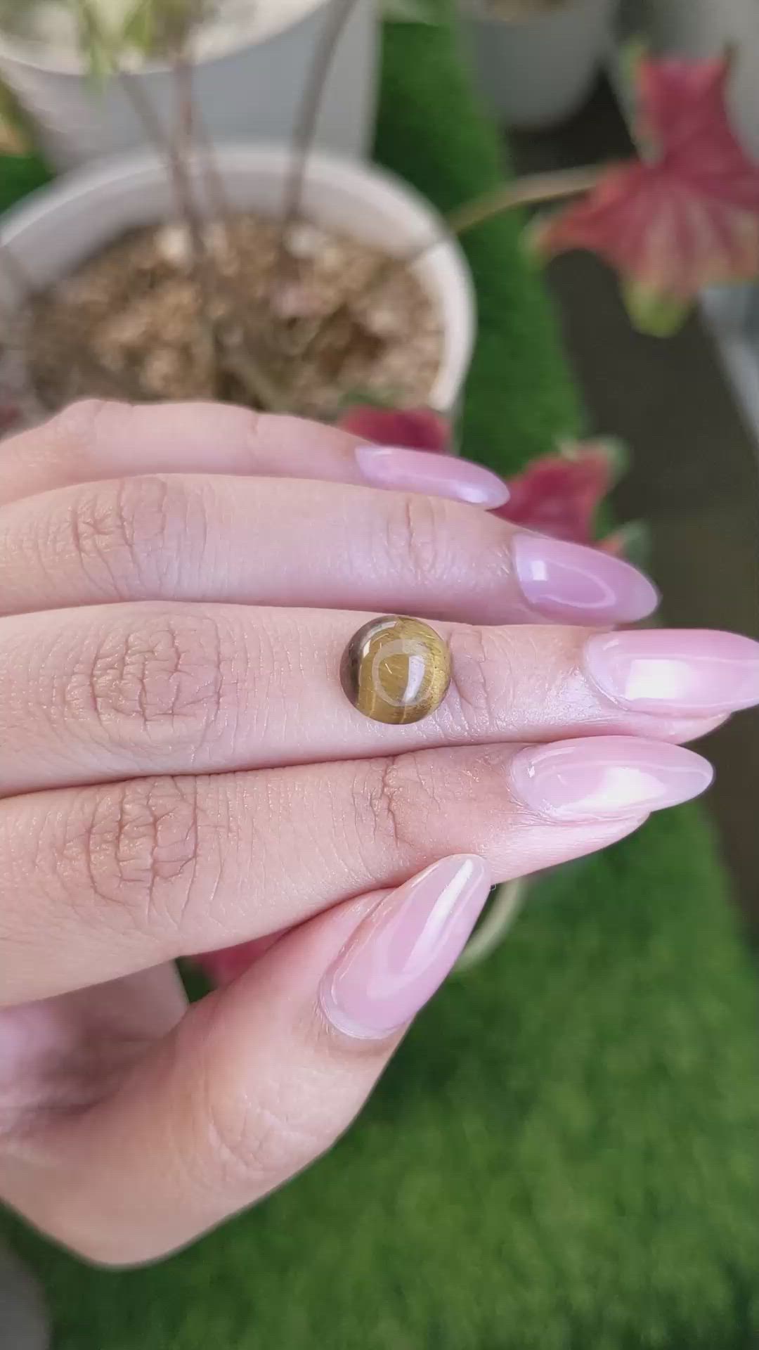 4.26 Ct. Cabochon Tiger's Eye from Ceylon (Sri Lanka) Size Video
